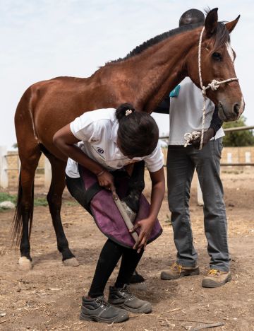 farrier
