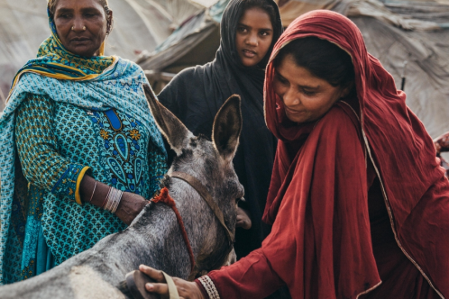 Women equine owners in India
