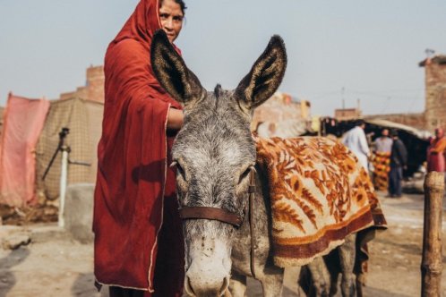 A woman stands with her donkey in Pakistan