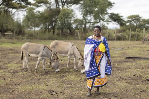 Women's donkey welfare group with donkeys in Kenya