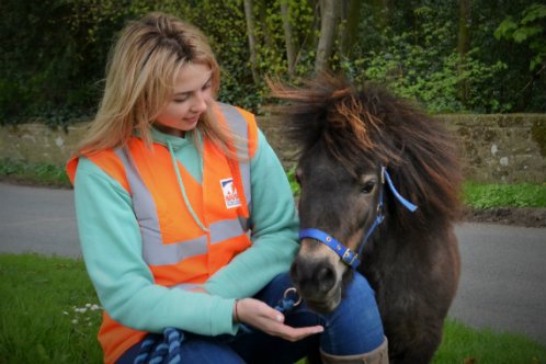 Hannah Russell and her mini Shetland Little Alf