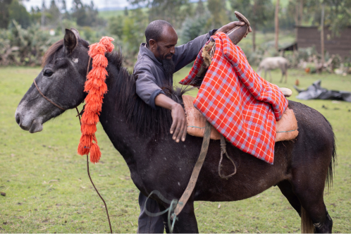 Local harness maker in Ethiopia