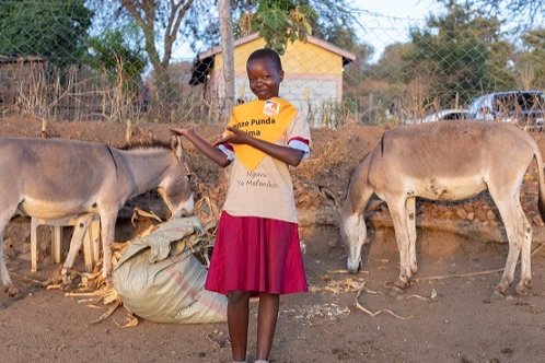 Donkey care club pupil Tabitha with her donkeys