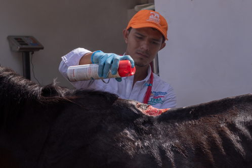 Clinic in Nicaragua providing preventative treatment