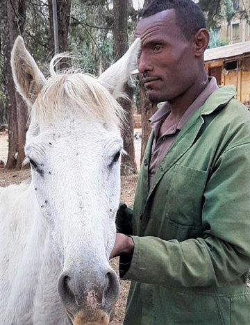 Gharry horse owner in Ethiopia